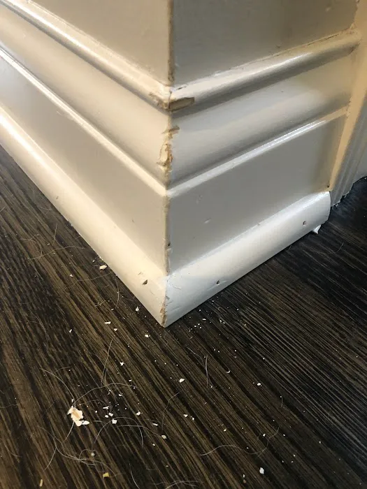 Stanley Steemer Picture 1