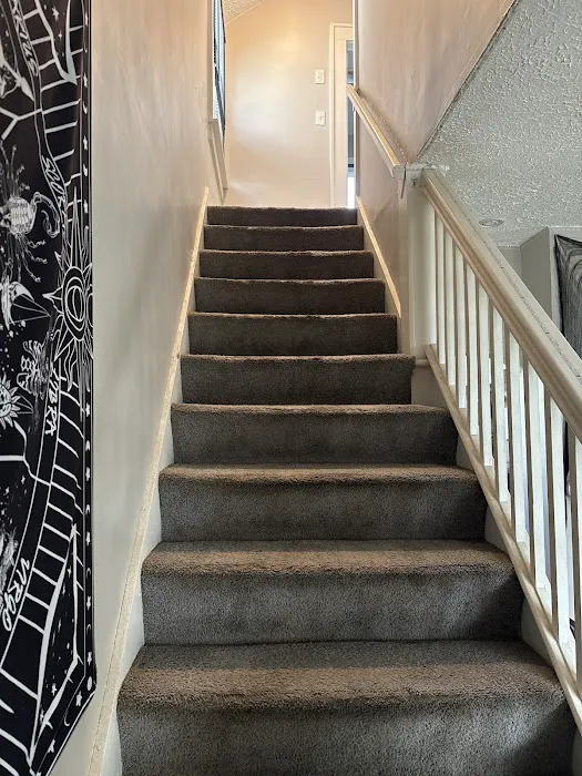 Stanley Steemer Picture 5