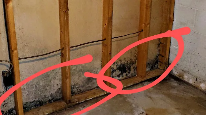 WeGetTheMoldOut Picture 5