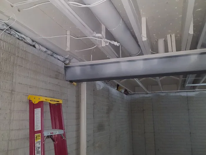 WeGetTheMoldOut Picture 4