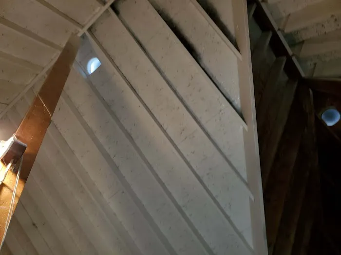 WeGetTheMoldOut Picture 6