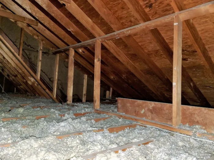 WeGetTheMoldOut Picture 10