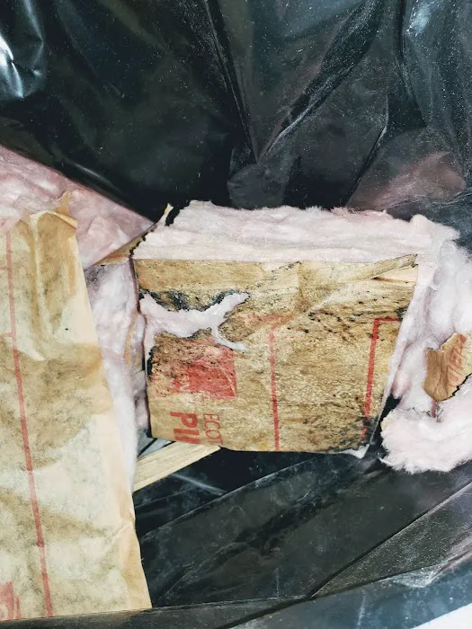 WeGetTheMoldOut Picture 9