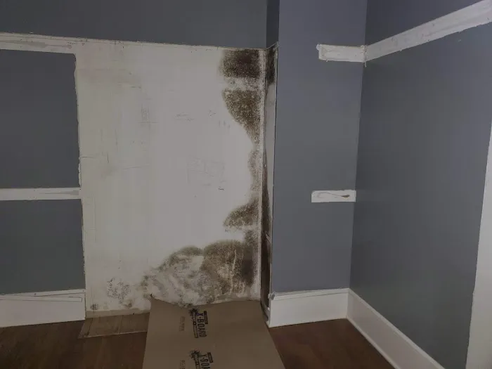 WeGetTheMoldOut Picture 8