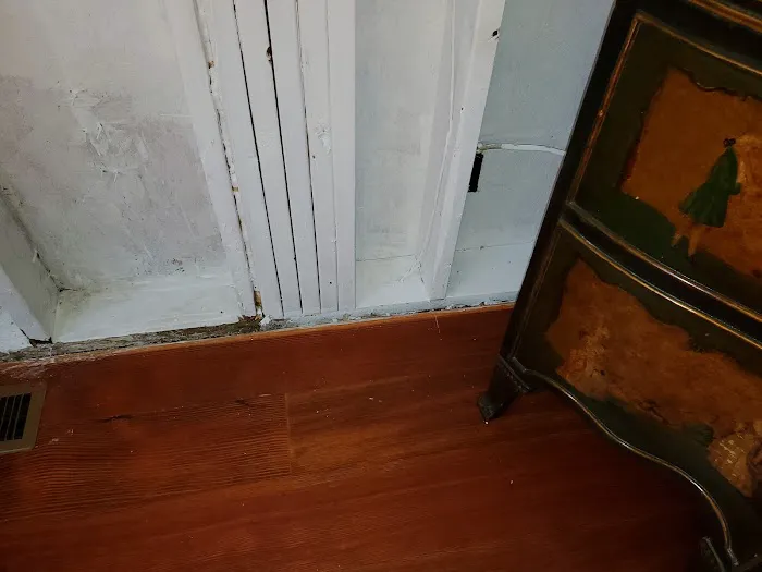 WeGetTheMoldOut Picture 2