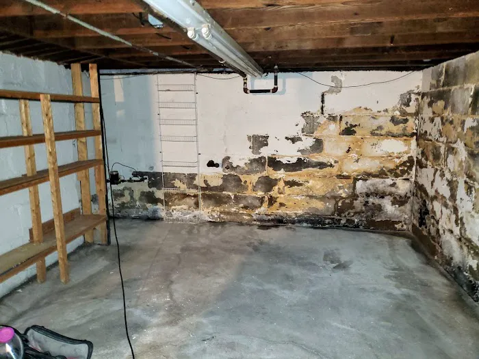 WeGetTheMoldOut Picture 3