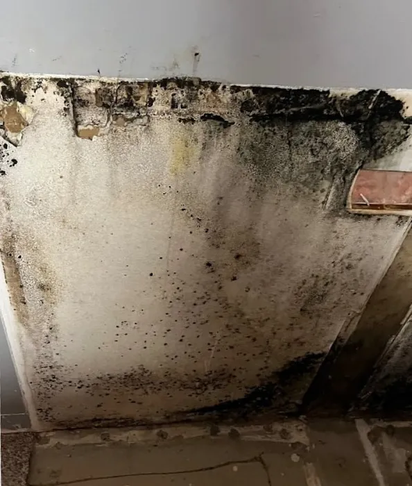 RestoPros of Columbus West Picture 10