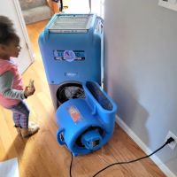 Waymakers Restoration ico