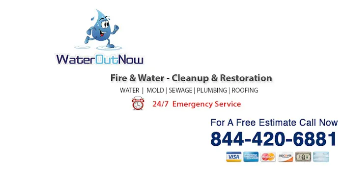 Water Out Now Picture 3