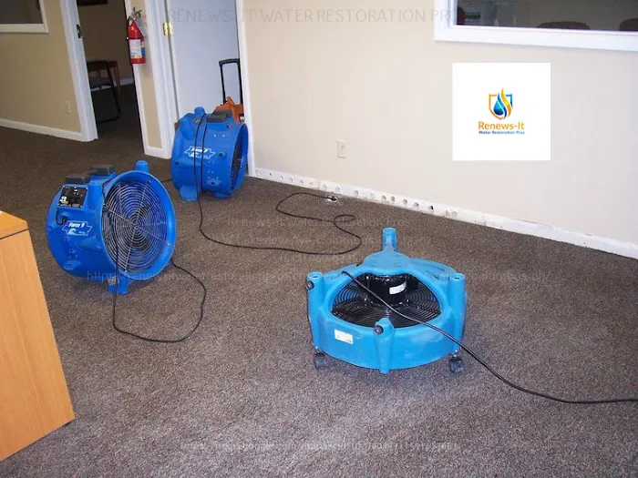 Renews-It Water Restoration Pros Picture 10