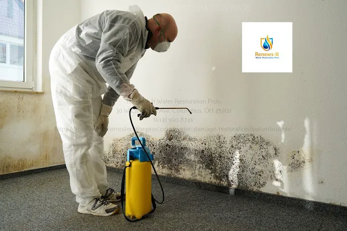 Renews-It Water Restoration Pros Picture 1