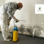 Renews-It Water Restoration Pros