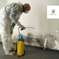 Renews-It Water Restoration Pros ico