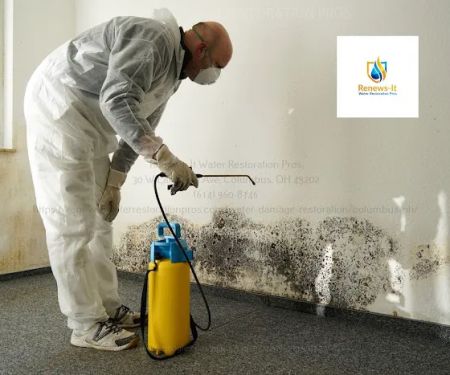 Renews-It Water Restoration Pros