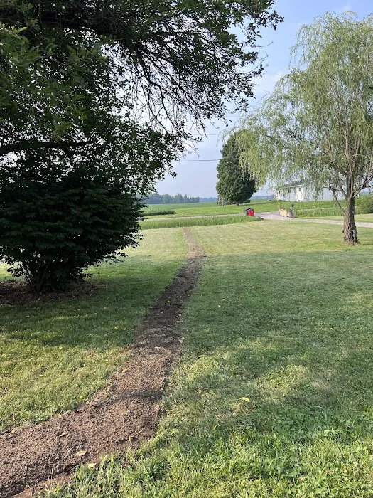 Chapman Drainage & Basement Repair Picture 3