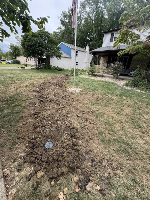 The Basement Doctor Picture 6