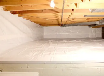 The Basement Doctor Picture 4