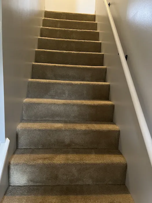 Stanley Steemer Picture 2