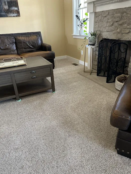 Stanley Steemer Picture 10