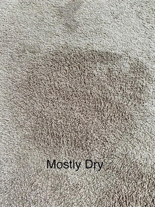 Stanley Steemer Picture 4