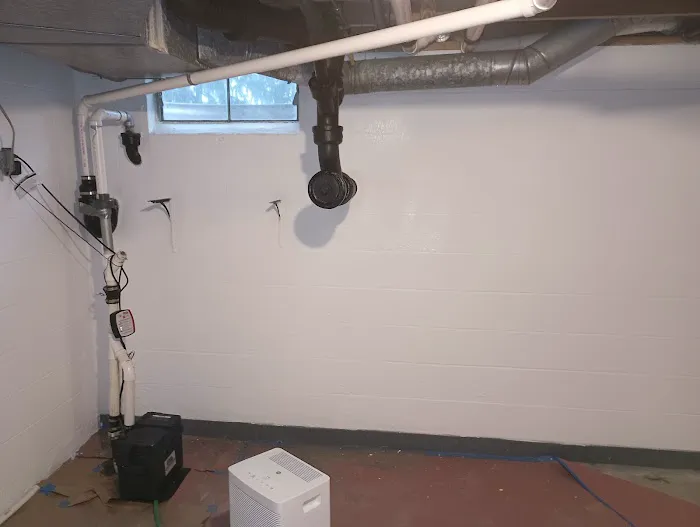 The Mold Man, LLC Picture 5