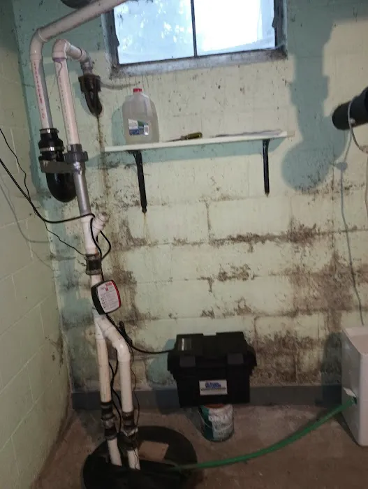 The Mold Man, LLC Picture 6