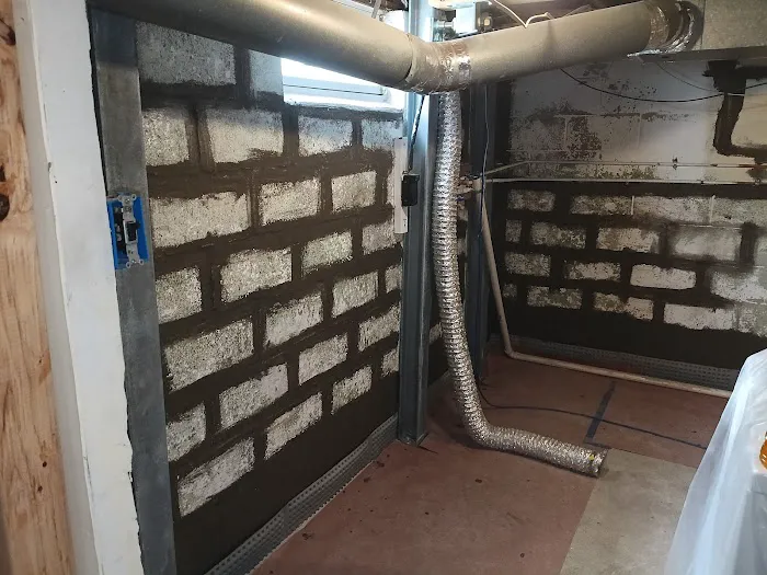 The Mold Man, LLC Picture 1