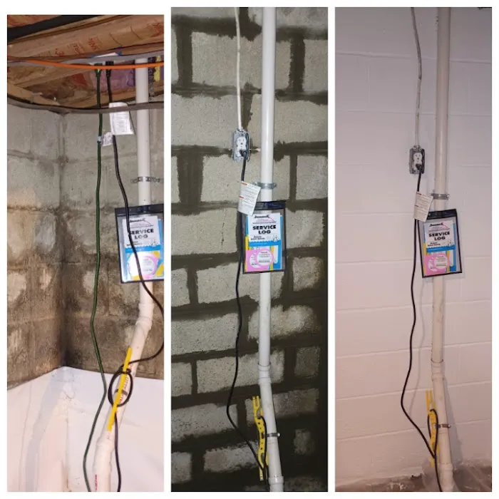 The Mold Man, LLC Picture 9