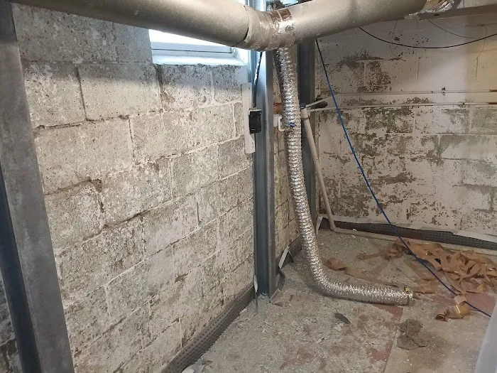 The Mold Man, LLC Picture 4