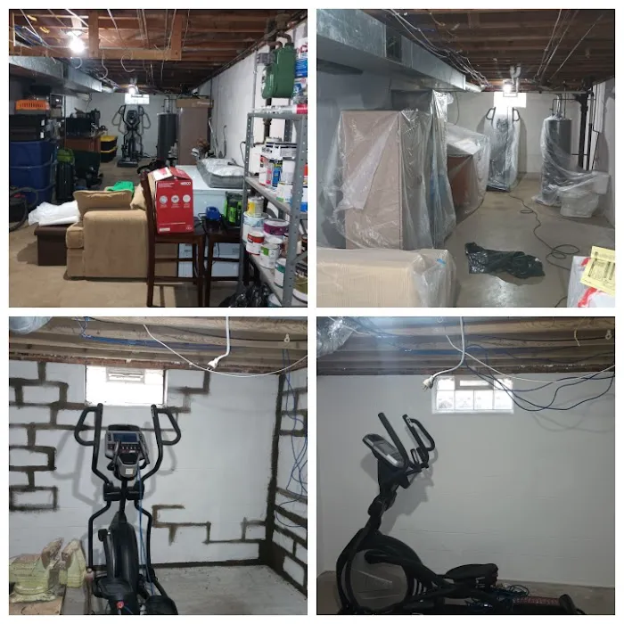 The Mold Man, LLC Picture 8