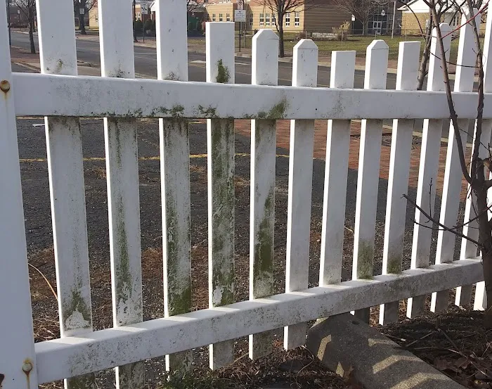 The Mold Man, LLC Picture 3