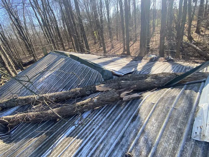 Campbell Restoration & Roofing Picture 4