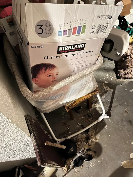 PuroClean Fire & Water Experts Picture 8