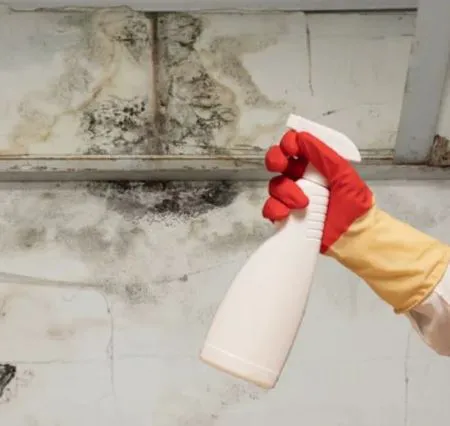 Total International Picture 2