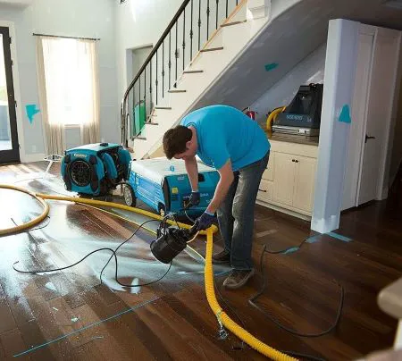 Total International Picture 6