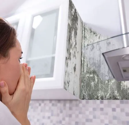 Total International Picture 9