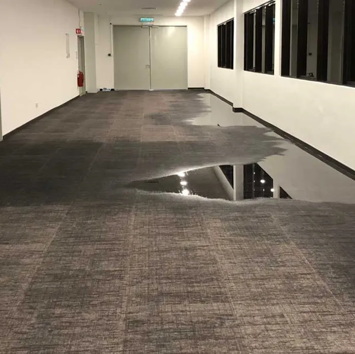 Total International Picture 10