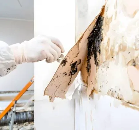 Total International Picture 4