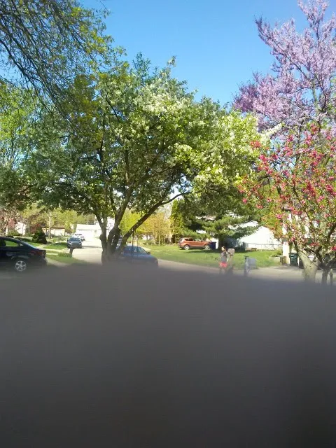 Thompson Restoration Associates Picture 7