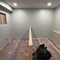 Lifestyle PAINTING ico