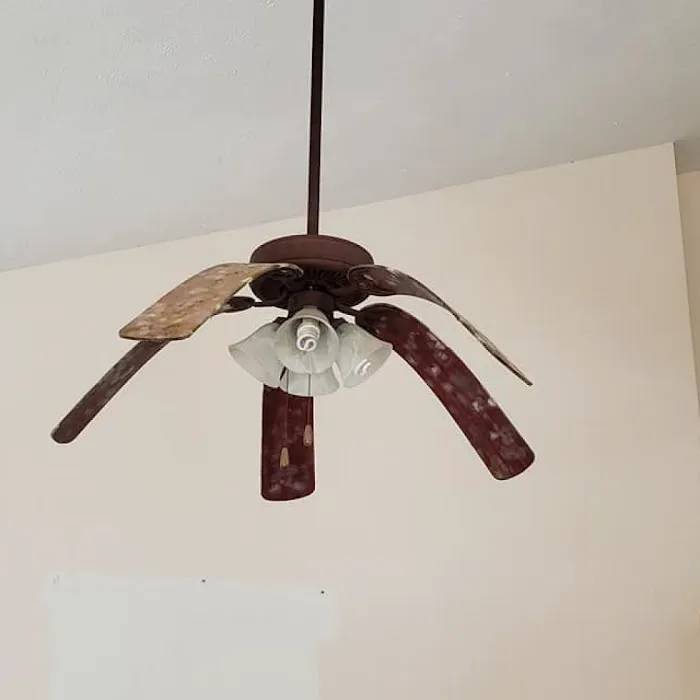 Buckeye Advanced Remediation Picture 7