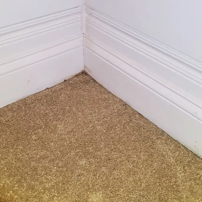 Buckeye Advanced Remediation Picture 9