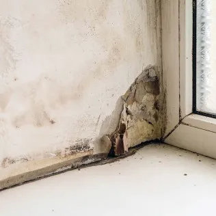 Buckeye Advanced Remediation Picture 4