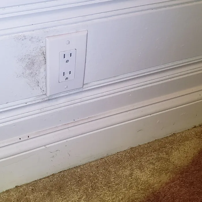 Buckeye Advanced Remediation Picture 3