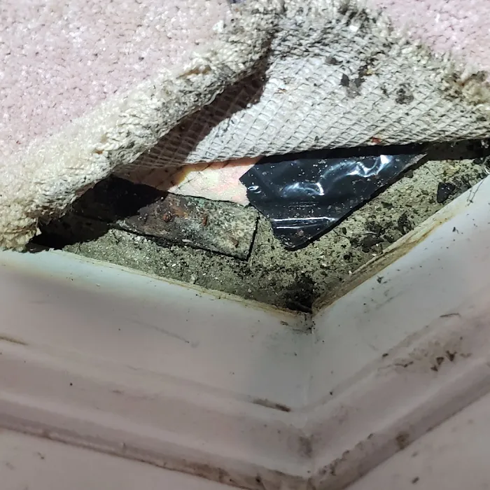 Buckeye Advanced Remediation Picture 10