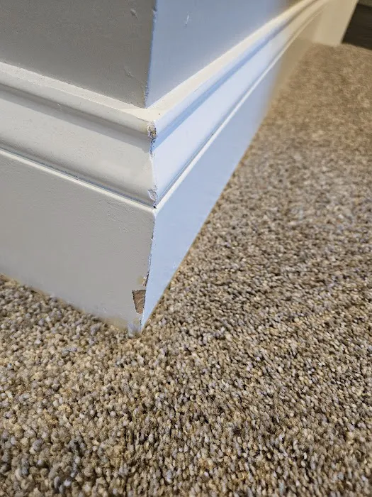 COIT Cleaning and Restoration of Cleveland Picture 10