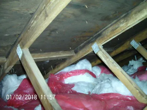 EnviroMax Services,Inc. Picture 8