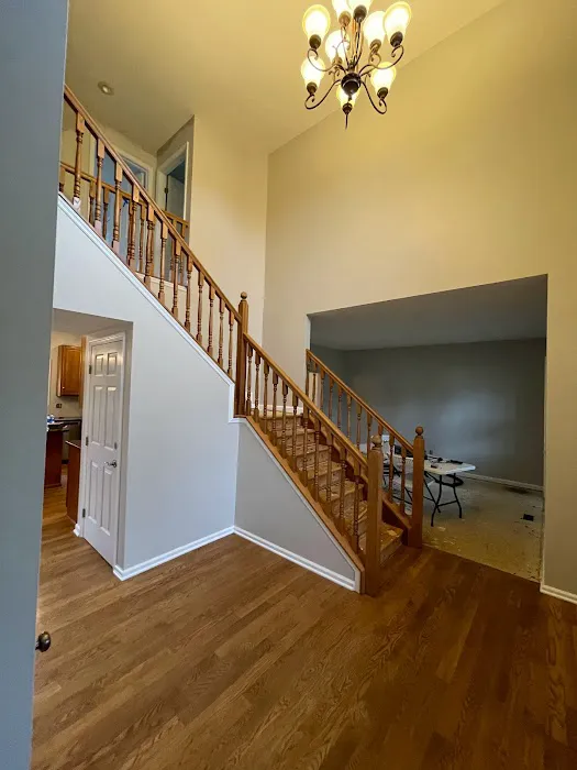 RainSky Professional Painting Company LLC Picture 8