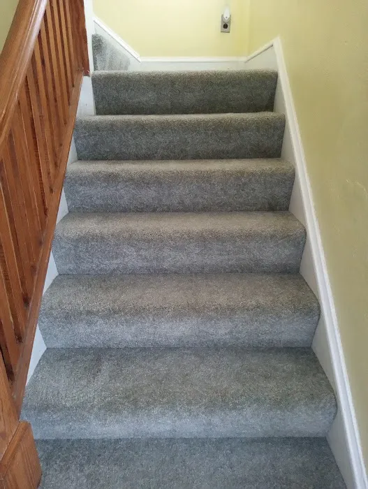 Fiber Dry Carpet & Upholstery Cleaning Picture 3