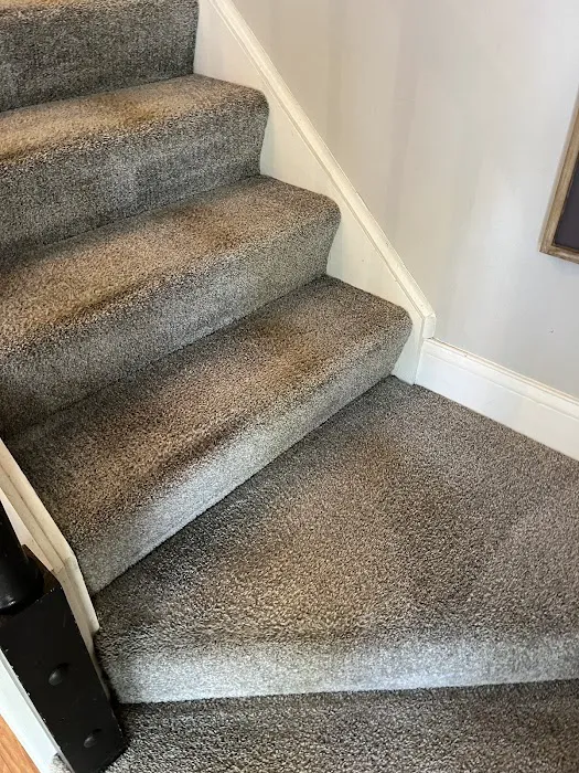 Fiber Dry Carpet & Upholstery Cleaning Picture 7